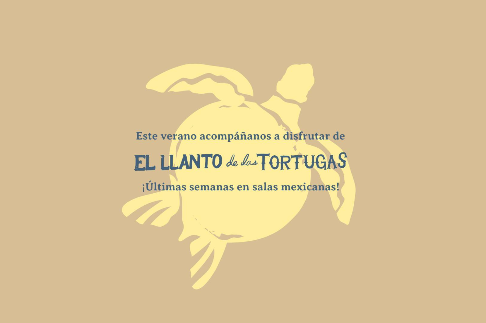 tortugas