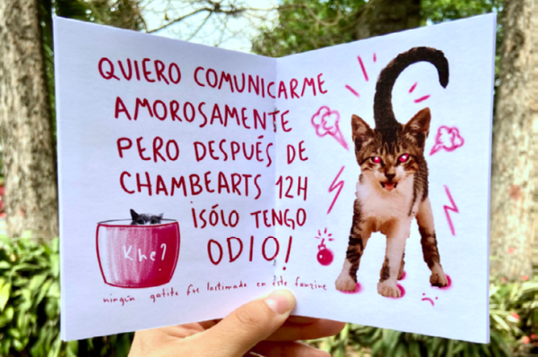 "Fanzinerxs: laboratorio de producción de fanzines con perspectiva social"