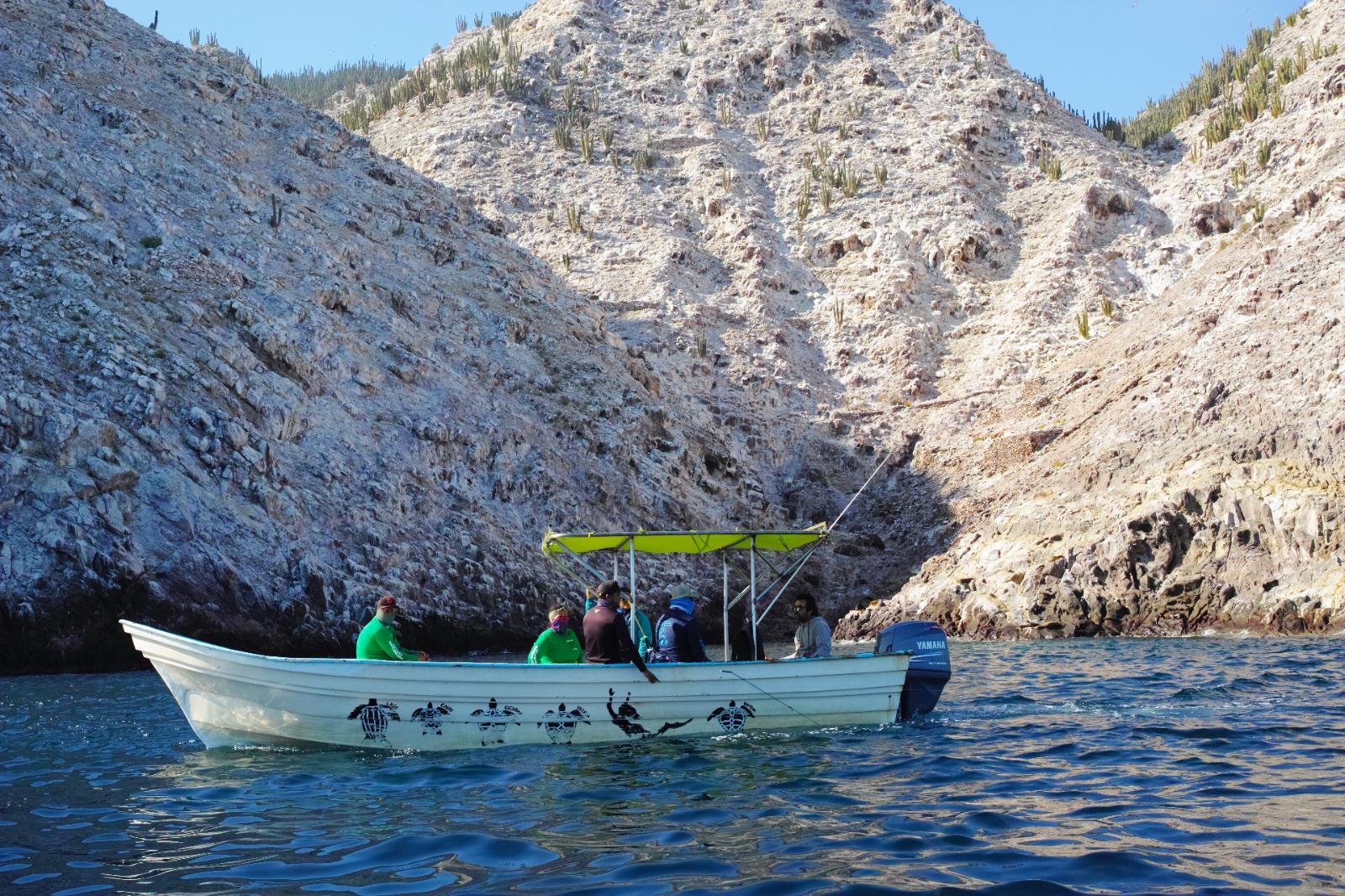 El documental “El Llanto de las Tortugas” se presentará en Sonora este noviembre