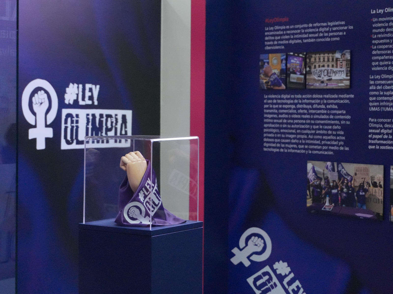 “Ley Olimpia”, una muestra sobre el reconocimiento legal de la violencia digital