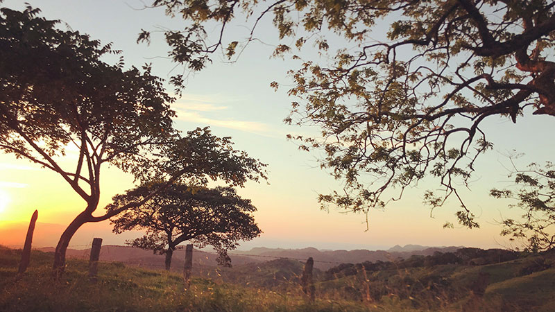 Una muestra de la poesía LGBT de Costa Rica