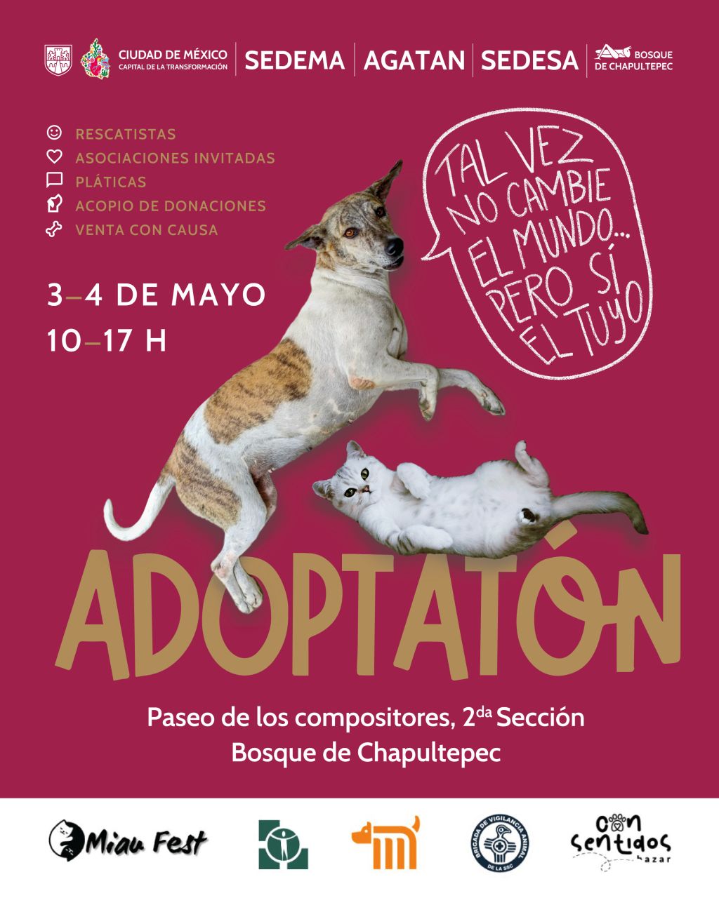 Adoptatón: Esto es lo que traerá la segunda jornada de adopción de michis y perritos en la CDMX