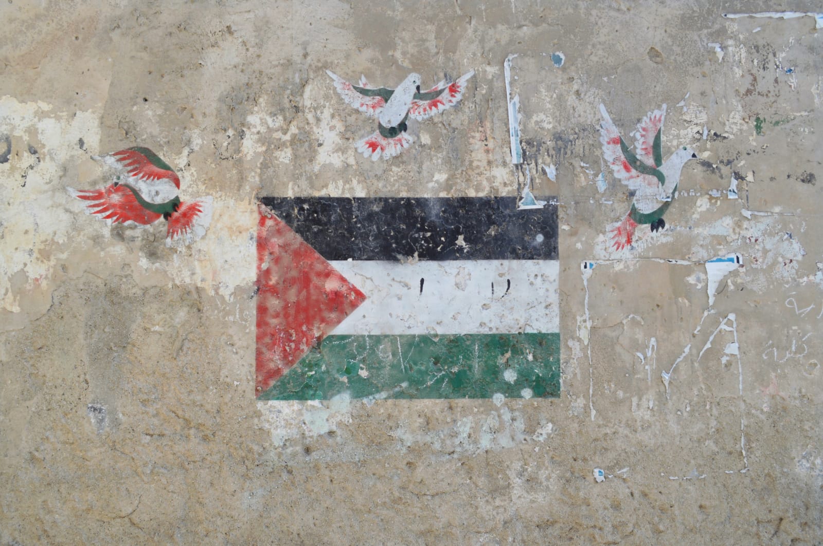 Israel–Palestina: Justicia, Memoria y Humanidad Bajo un Mismo Sol