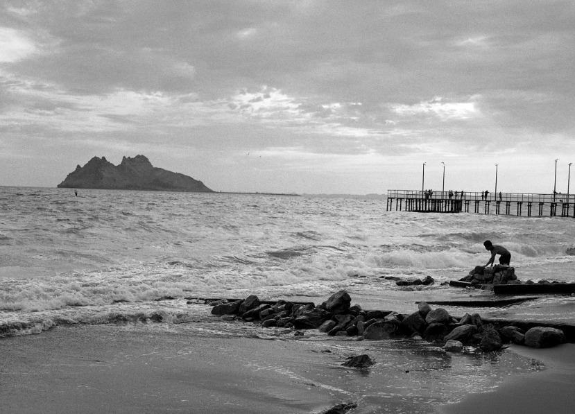 La gira cultural del documental El llanto de las tortugas viajará a Guerrero