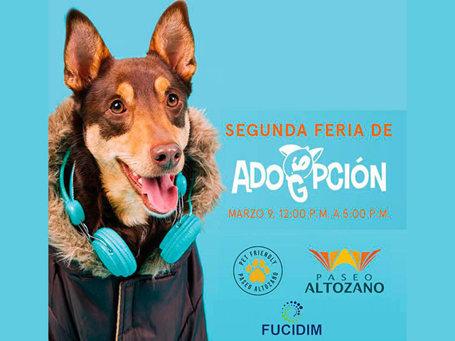 Adogpción prepara segunda Feria de adopción canina en Morelia