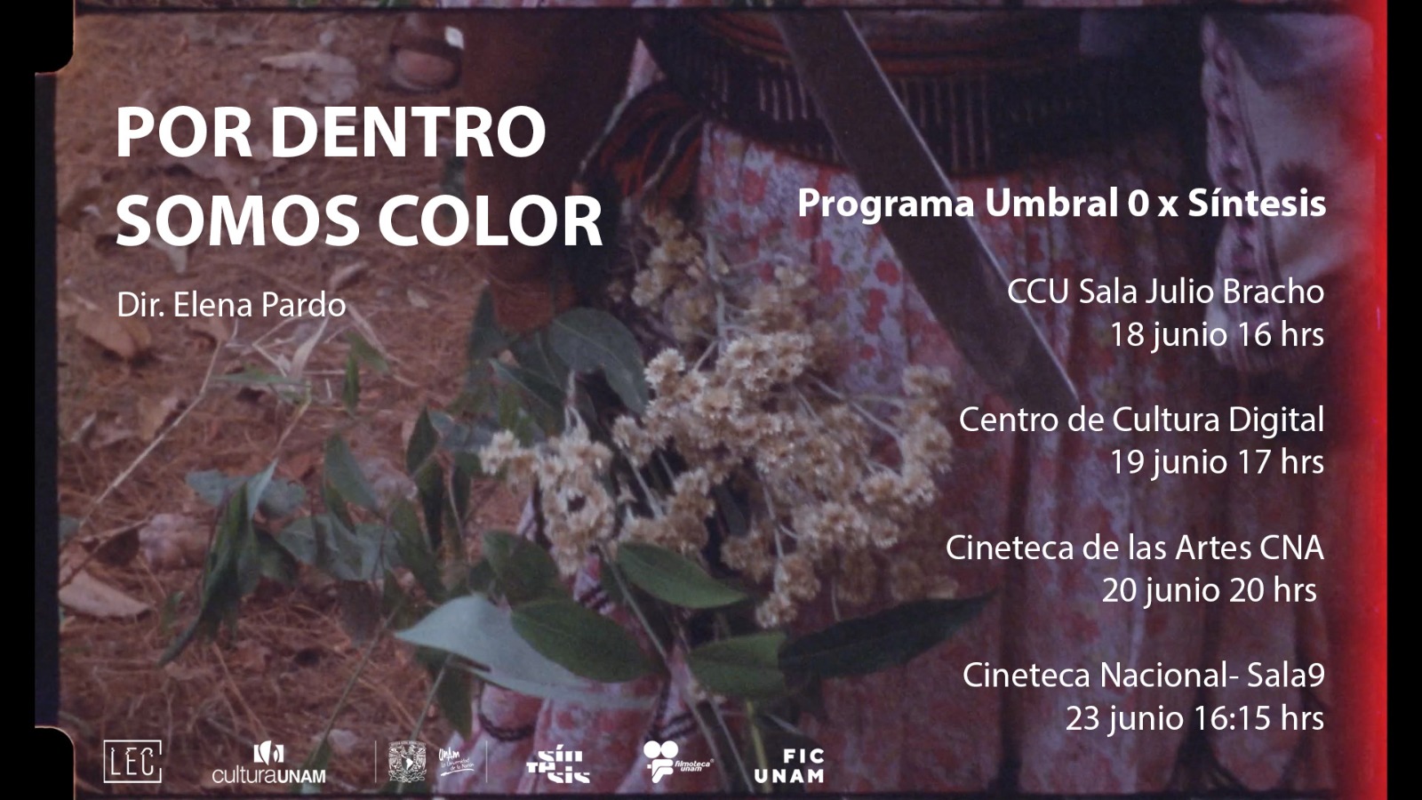 El cortometraje “Por dentro somos color” de Elena Pardo se proyectará en FICUNAM 14