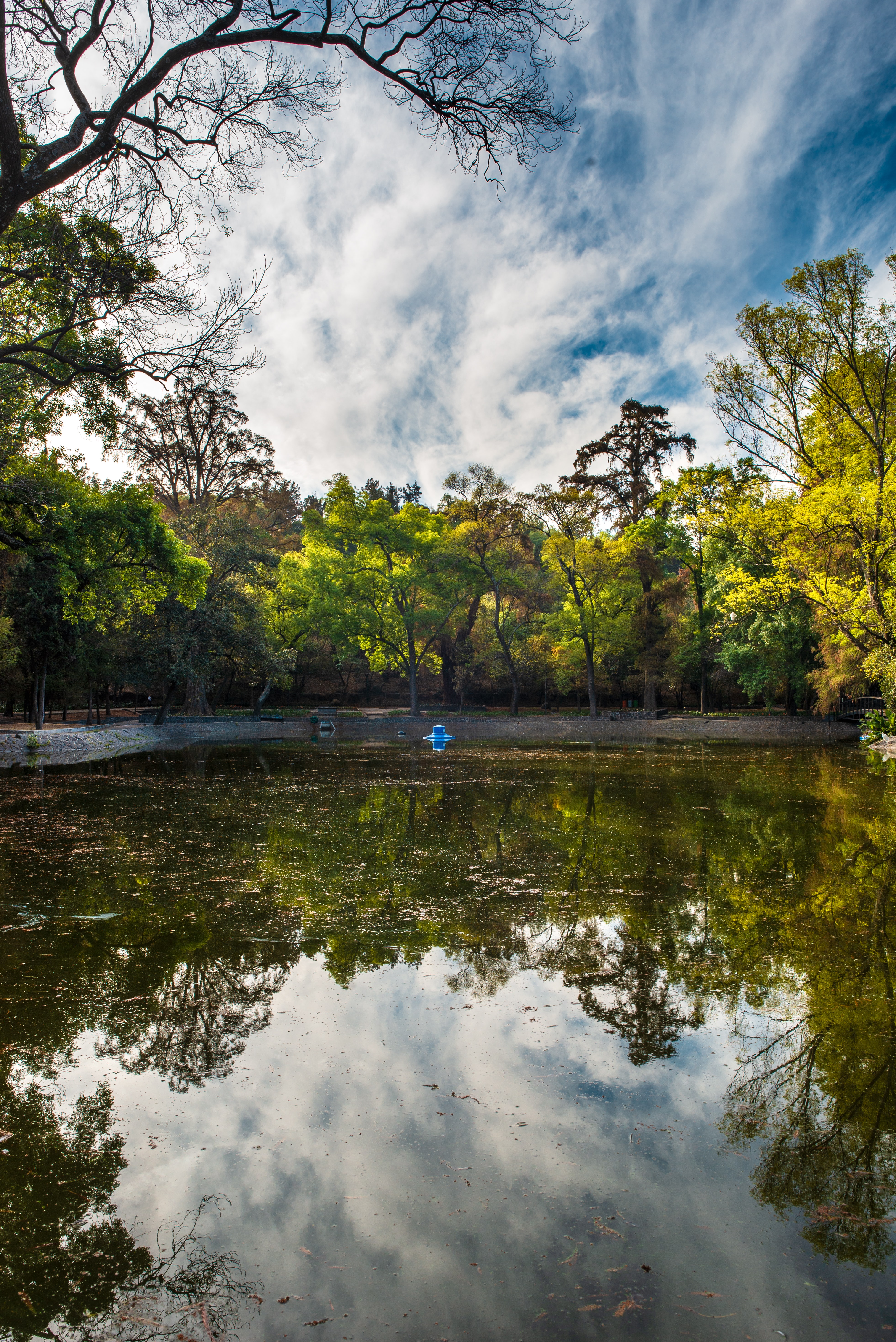 Lanzan la convocatoria para participar en el proyecto “Jardín Escénico, Bosque de Chapultepec”