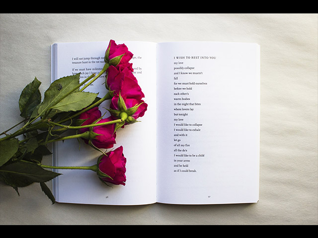 Programa de la Fiesta del Libro y la Rosa. 2019 Día 1
