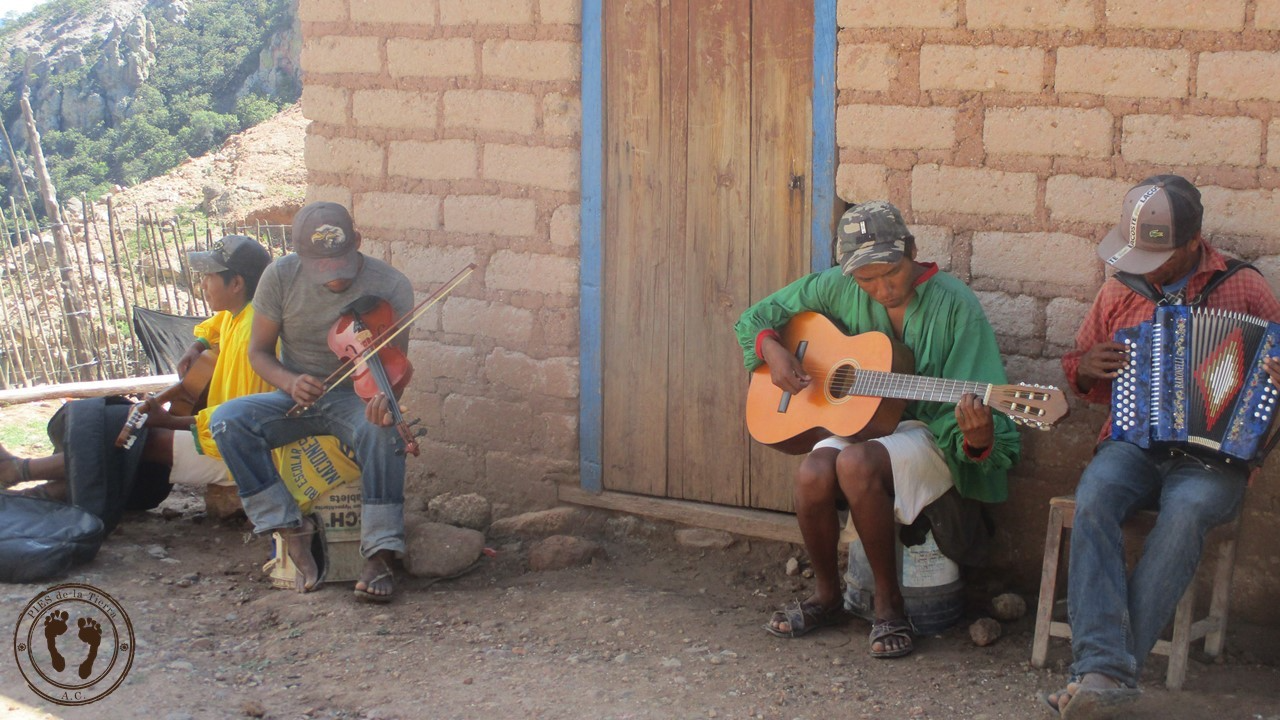 A través de la música, habitantes de Batopilas, Chihuahua, fortalecen sus raíces culturales y promueven el cuidado del medio ambiente